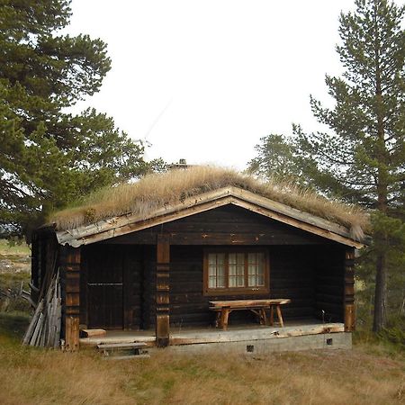 Lusaeter Timber Cabins Heidal Rum bild