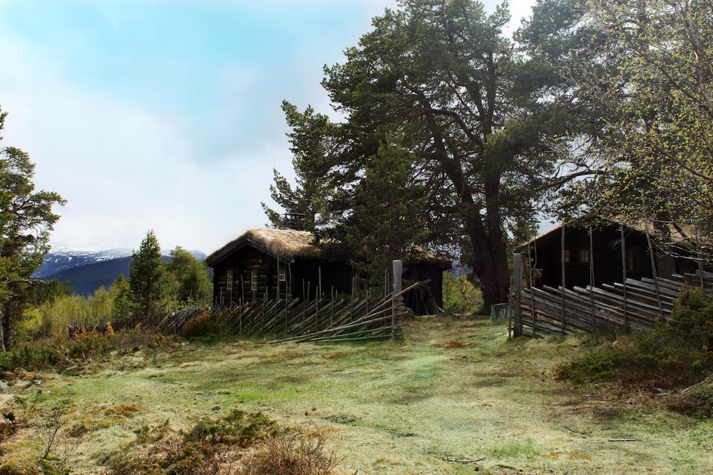 Lusaeter Timber Cabins Heidal Exteriör bild