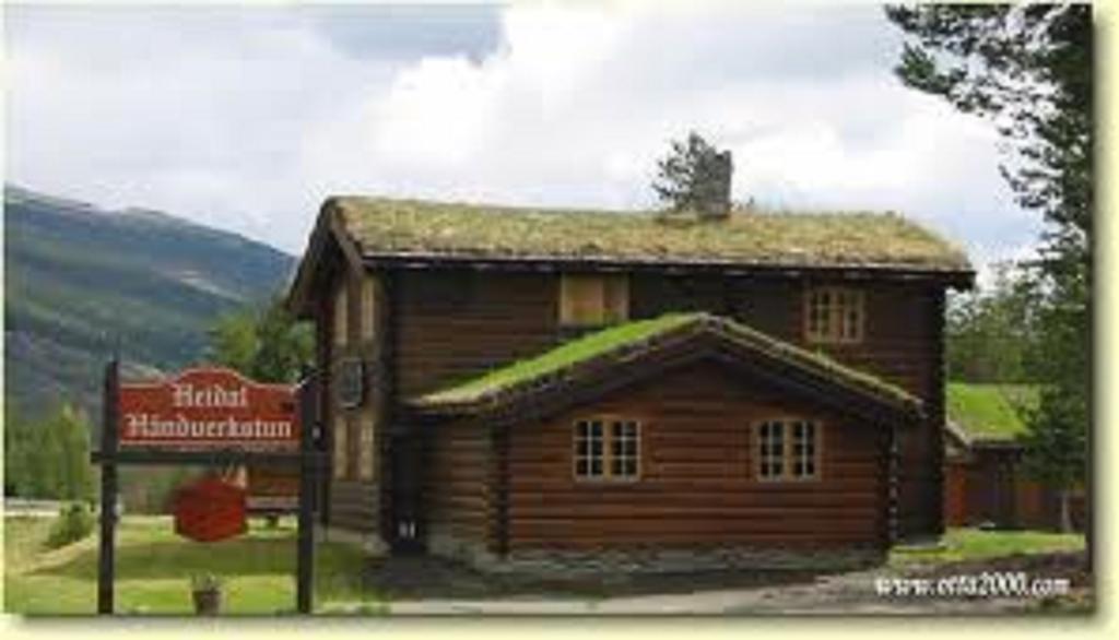 Lusaeter Timber Cabins Heidal Exteriör bild
