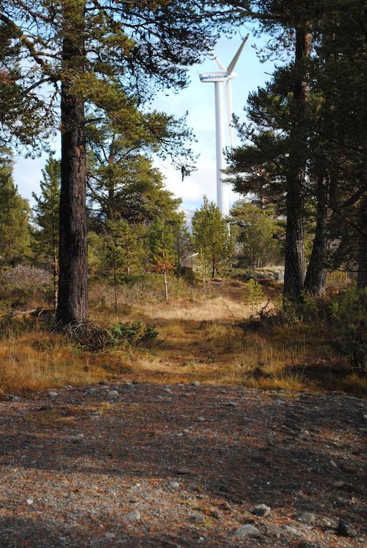 Lusaeter Timber Cabins Heidal Exteriör bild